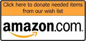 amazon wish list 